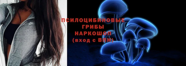 шишки Алзамай