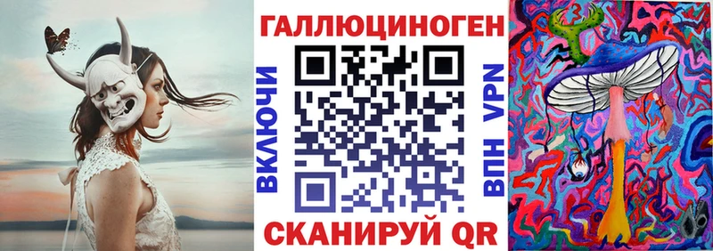 где можно купить наркотик  Дмитриев  Галлюциногенные грибы мицелий 