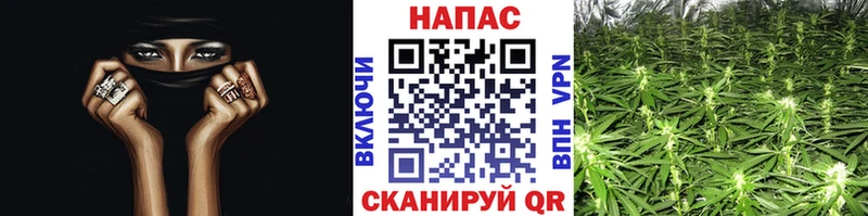 МАРИХУАНА LSD WEED  сколько стоит  Дмитриев 